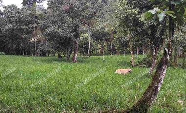 Hacienda en venta en san miguel de los bancos km 71.5 en la via calacali la independencia