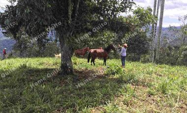 Hacienda en venta en san miguel de los bancos km 71.5 en la via calacali la independencia