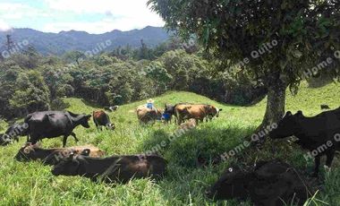 Hacienda en venta en san miguel de los bancos km 71.5 en la via calacali la independencia