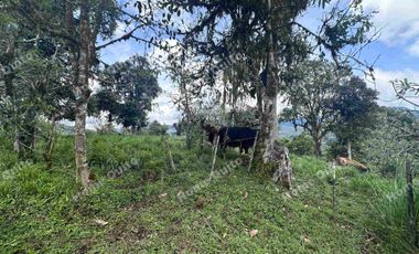 Hacienda en venta en san miguel de los bancos km 71.5 en la via calacali la independencia