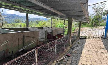 Hacienda en venta en san miguel de los bancos km 71.5 en la via calacali la independencia