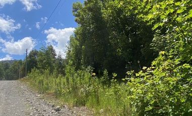 Parcelas ubicadas a 5 kilómetros de la ciudad de Licán Ray