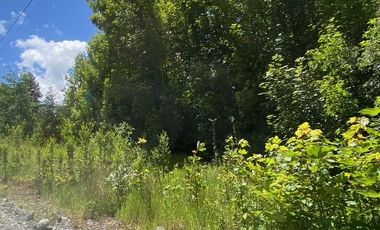 Parcelas ubicadas a 5 kilómetros de la ciudad de Licán Ray