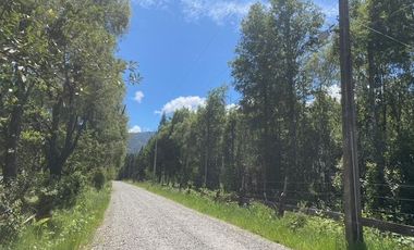 Parcelas ubicadas a 5 kilómetros de la ciudad de Licán Ray