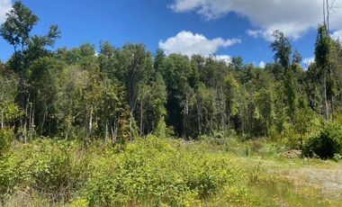 Parcelas ubicadas a 5 kilómetros de la ciudad de Licán Ray
