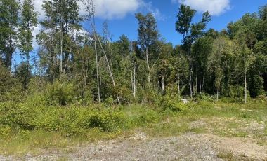 Parcelas ubicadas a 5 kilómetros de la ciudad de Licán Ray