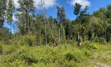 Parcelas ubicadas a 5 kilómetros de la ciudad de Licán Ray