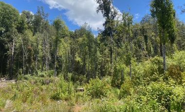 Parcelas ubicadas a 5 kilómetros de la ciudad de Licán Ray