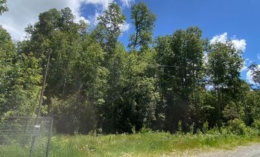 Parcelas ubicadas a 5 kilómetros de la ciudad de Licán Ray