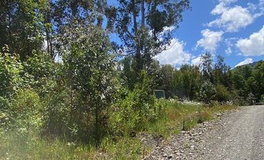 Parcelas ubicadas a 5 kilómetros de la ciudad de Licán Ray