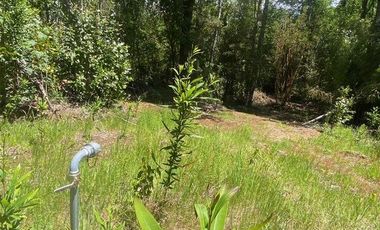 Parcelas ubicadas a 5 kilómetros de la ciudad de Licán Ray