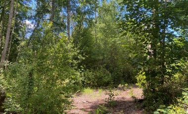 Parcelas ubicadas a 5 kilómetros de la ciudad de Licán Ray