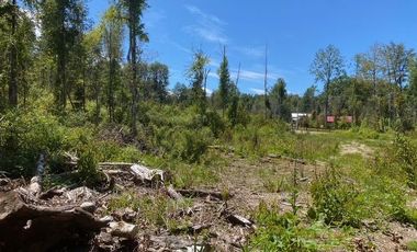 Parcelas ubicadas a 5 kilómetros de la ciudad de Licán Ray