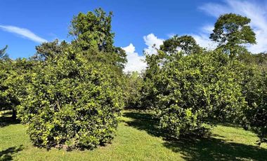 SE VENDE CASA CAMPESTRE