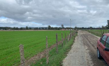 Maravillosas Parcelas en Puerto Nuevo a 3 minutos de la playa
