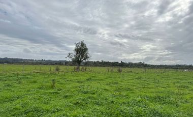 Maravillosas Parcelas en Puerto Nuevo a 3 minutos de la playa