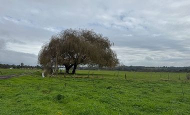 Maravillosas Parcelas en Puerto Nuevo a 3 minutos de la playa