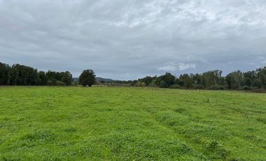 Maravillosas Parcelas en Puerto Nuevo a 3 minutos de la playa