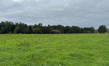 Maravillosas Parcelas en Puerto Nuevo a 3 minutos de la playa
