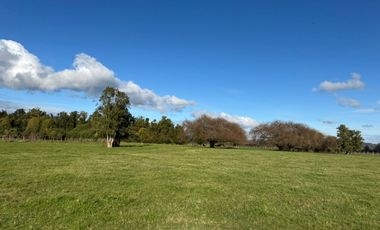 Maravillosas Parcelas en Puerto Nuevo a 3 minutos de la playa