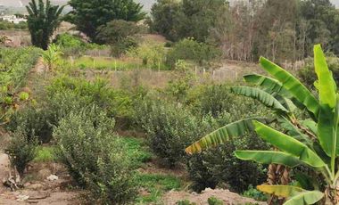 Terreno 1,250m² en Azpitia: Potencial Lodge o Casa de Campo | Plano y Cercado