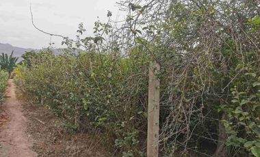 Terreno 1,250m² en Azpitia: Potencial Lodge o Casa de Campo | Plano y Cercado