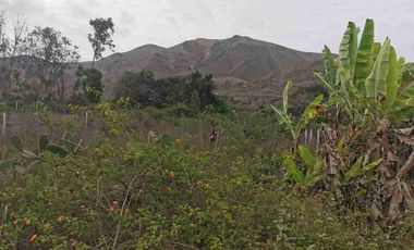 Terreno 1,250m² en Azpitia: Potencial Lodge o Casa de Campo | Plano y Cercado