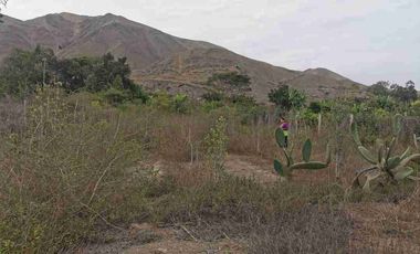Terreno 1,250m² en Azpitia: Potencial Lodge o Casa de Campo | Plano y Cercado