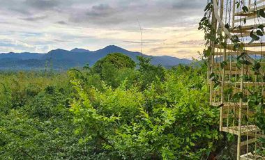 House and Lot for sale for Nature Lover