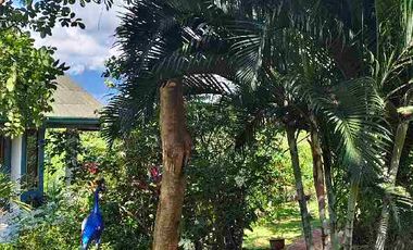 House and Lot for sale for Nature Lover