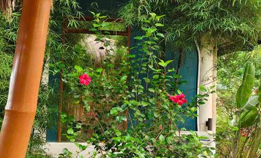 House and Lot for sale for Nature Lover
