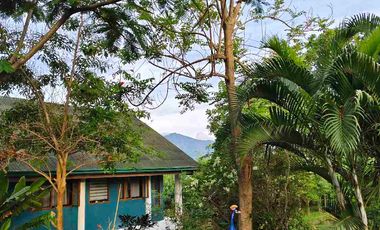 House and Lot for sale for Nature Lover