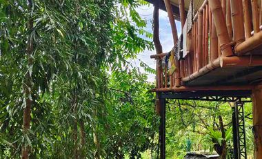 House and Lot for sale for Nature Lover