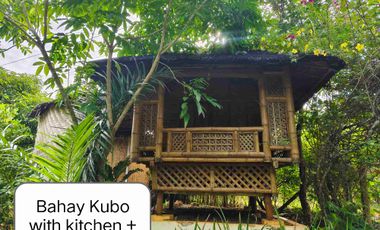 House and Lot for sale for Nature Lover