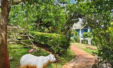 House and Lot for sale for Nature Lover