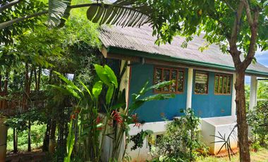 House and Lot for sale for Nature Lover