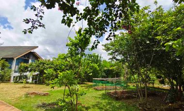 House and Lot for sale for Nature Lover
