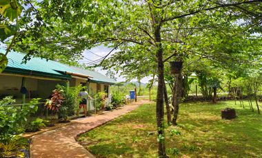 House and Lot for sale for Nature Lover