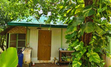 House and Lot for sale for Nature Lover