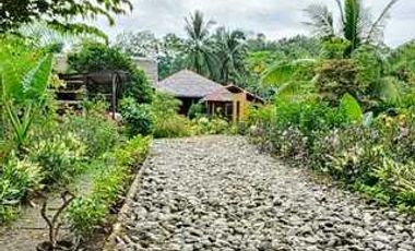 MOUNTAIN VIEW HOUSE AND LOT FOR SALE IN SIATON ID 15018
