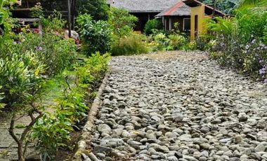 MOUNTAIN VIEW HOUSE AND LOT FOR SALE IN SIATON ID 15018