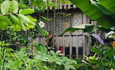 MOUNTAIN VIEW HOUSE AND LOT FOR SALE IN SIATON ID 15018