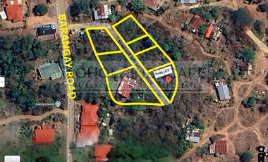 Residential Lot for Sale located in Songculan, Dauis Panglao, Bohol.