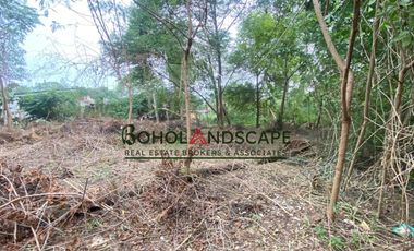 Residential Lot for Sale located in Songculan, Dauis Panglao, Bohol.