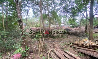 Residential Lot for Sale located in Songculan, Dauis Panglao, Bohol.