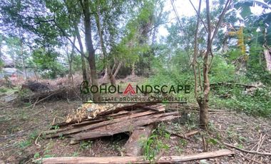 Residential Lot for Sale located in Songculan, Dauis Panglao, Bohol.