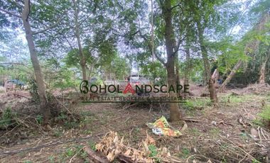 Residential Lot for Sale located in Songculan, Dauis Panglao, Bohol.