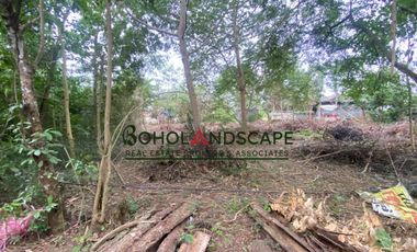 Residential Lot for Sale located in Songculan, Dauis Panglao, Bohol.