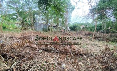 Residential Lot for Sale located in Songculan, Dauis Panglao, Bohol.