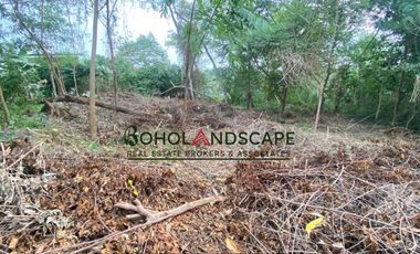 Residential Lot for Sale located in Songculan, Dauis Panglao, Bohol.